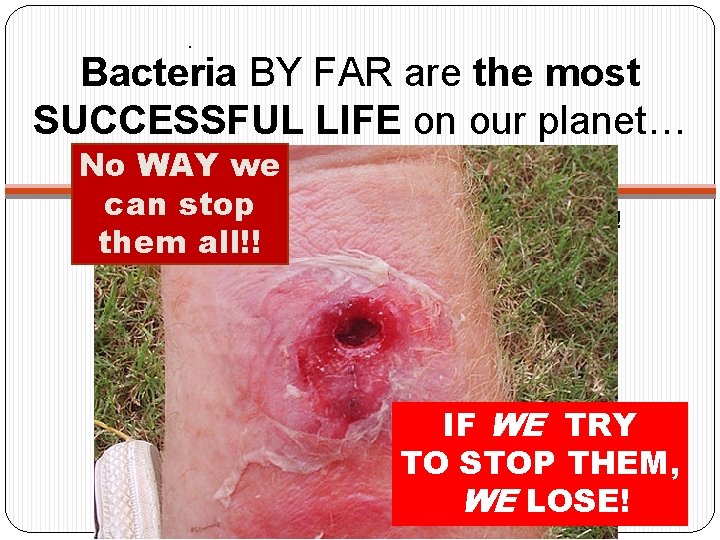 . Bacteria BY FAR are the most SUCCESSFUL LIFE on our planet… No WAY