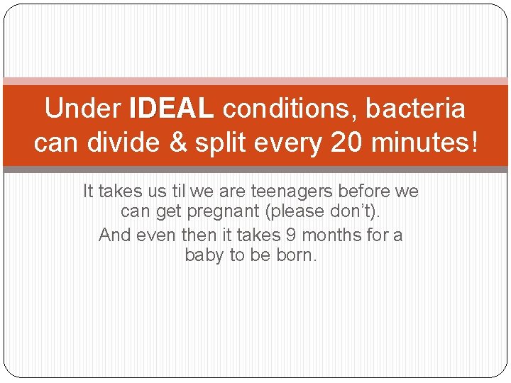 Under IDEAL conditions, bacteria can divide & split every 20 minutes! It takes us