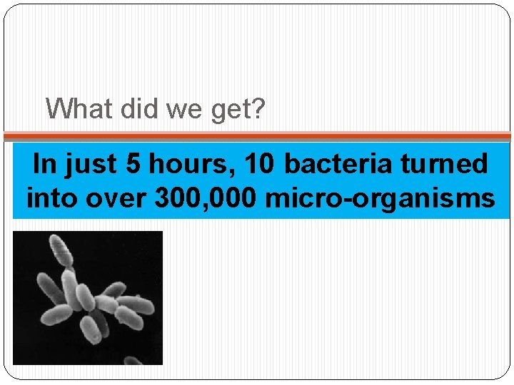 What did we get? In just 5 hours, 10 bacteria turned into over 300,