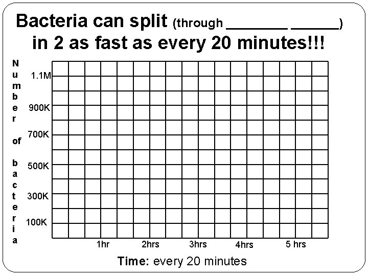 Bacteria can split (through _______) in 2 as fast as every 20 minutes!!! N