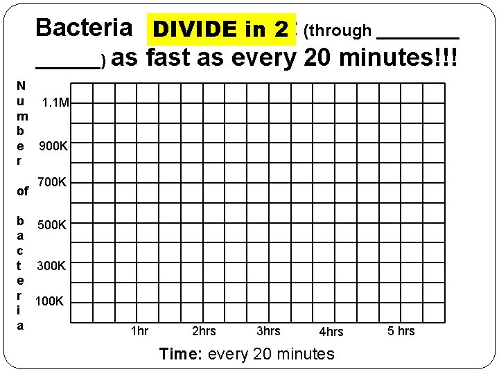 Bacteria DIVIDE can in split 2 (through _______) as fast as every 20 minutes!!!