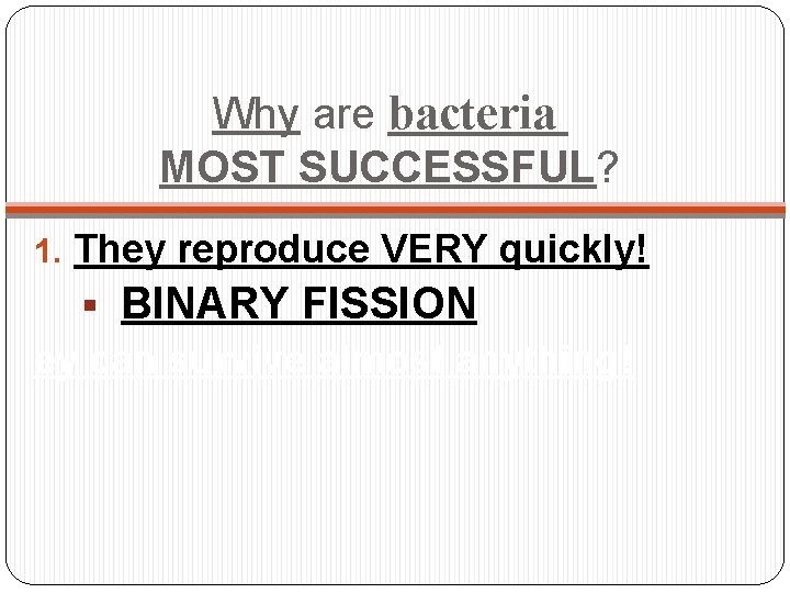 Why are bacteria MOST SUCCESSFUL? 1. They reproduce VERY quickly! § BINARY FISSION ey