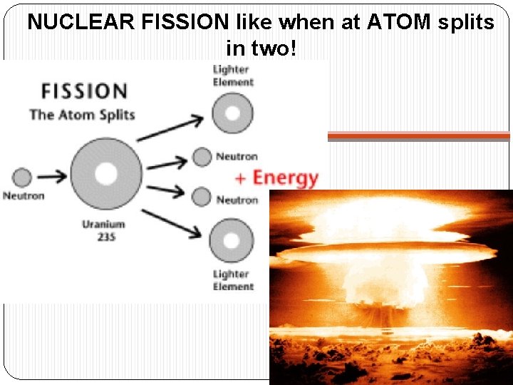 NUCLEAR FISSION like when at ATOM splits in two! 1. They reproduce qui 1.