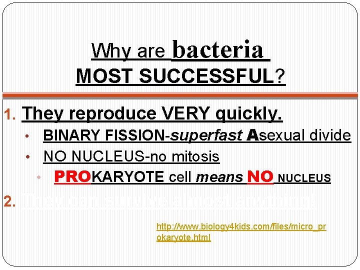 Why are bacteria MOST SUCCESSFUL? 1. They reproduce VERY quickly. • BINARY FISSION-superfast Asexual