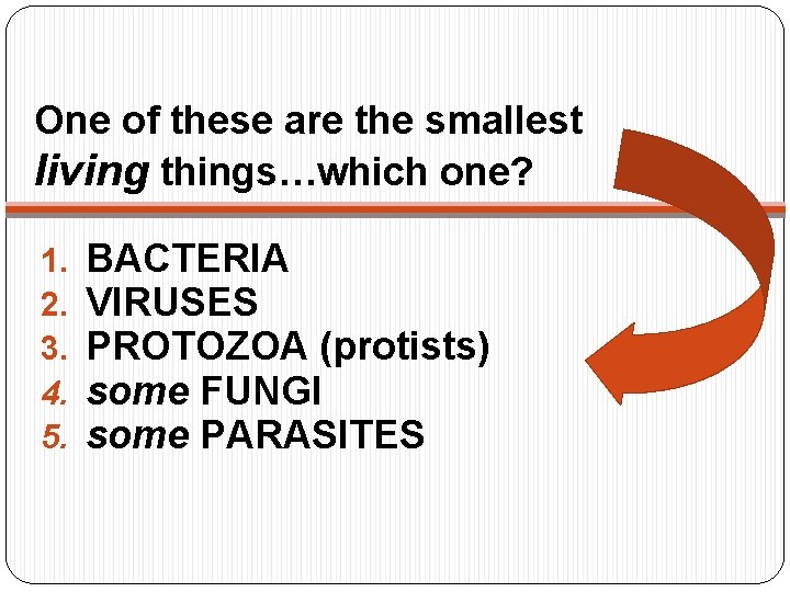 One of these are the smallest living things…which one? 1. 2. 3. 4. 5.