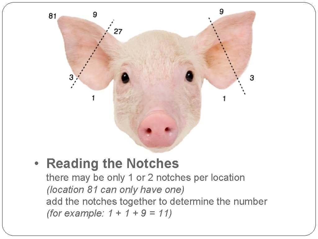  • Reading the Notches there may be only 1 or 2 notches per