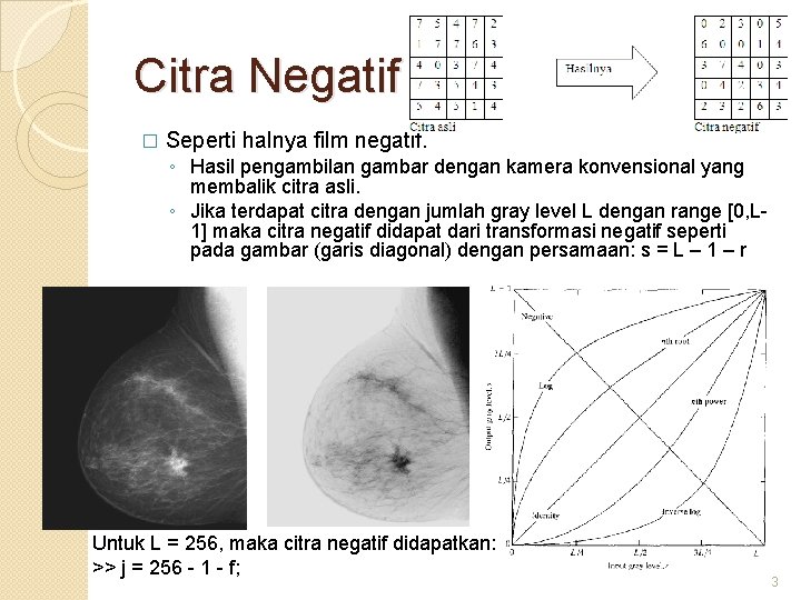 Citra Negatif � Seperti halnya film negatif. ◦ Hasil pengambilan gambar dengan kamera konvensional