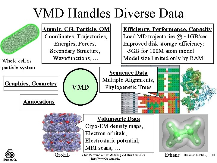 VMD Handles Diverse Data Whole cell as particle system Atomic, CG, Particle, QM Coordinates,