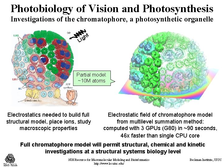 Photobiology of Vision and Photosynthesis Investigations of the chromatophore, a photosynthetic organelle ht g