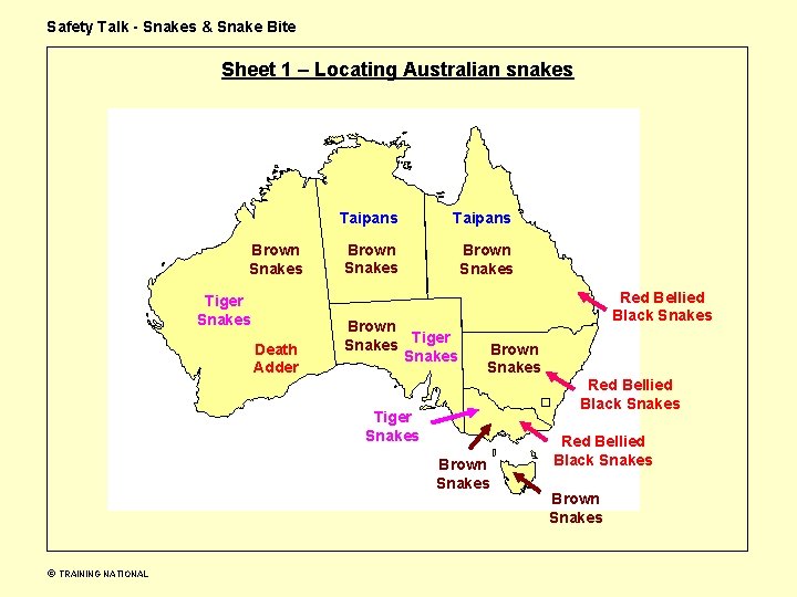 Safety Talk - Snakes & Snake Bite Sheet 1 – Locating Australian snakes Brown