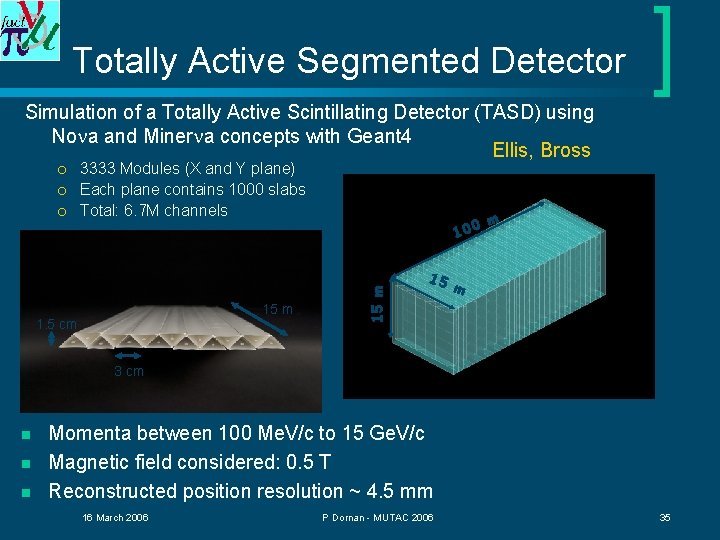 Totally Active Segmented Detector Simulation of a Totally Active Scintillating Detector (TASD) using Nona
