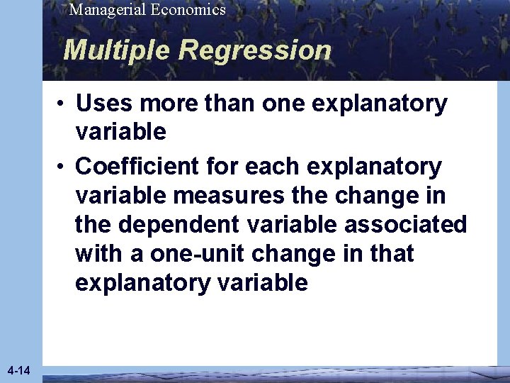 Managerial Economics Multiple Regression • Uses more than one explanatory variable • Coefficient for