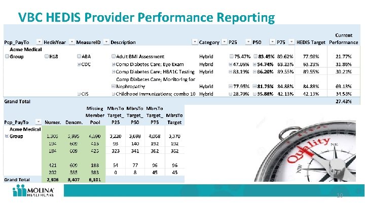 VBC HEDIS Provider Performance Reporting 10 