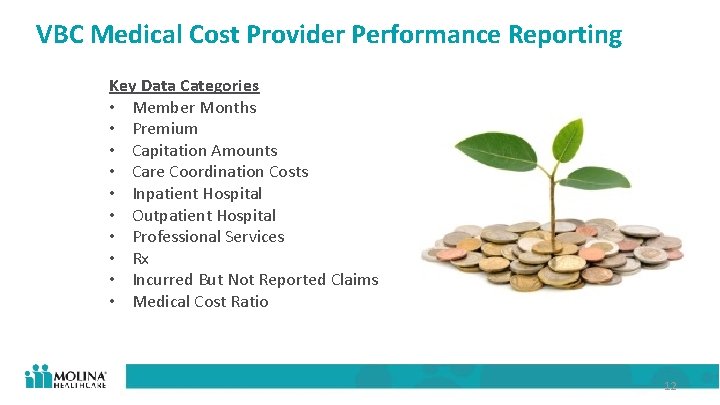 VBC Medical Cost Provider Performance Reporting Key Data Categories • Member Months • Premium