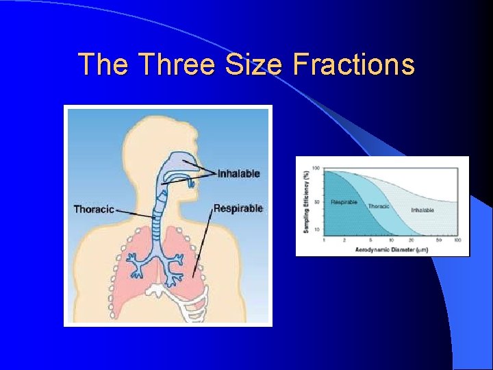 The Three Size Fractions 