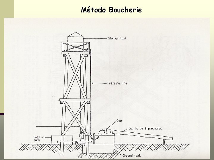 Método Boucherie 