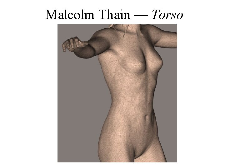 Malcolm Thain — Torso 