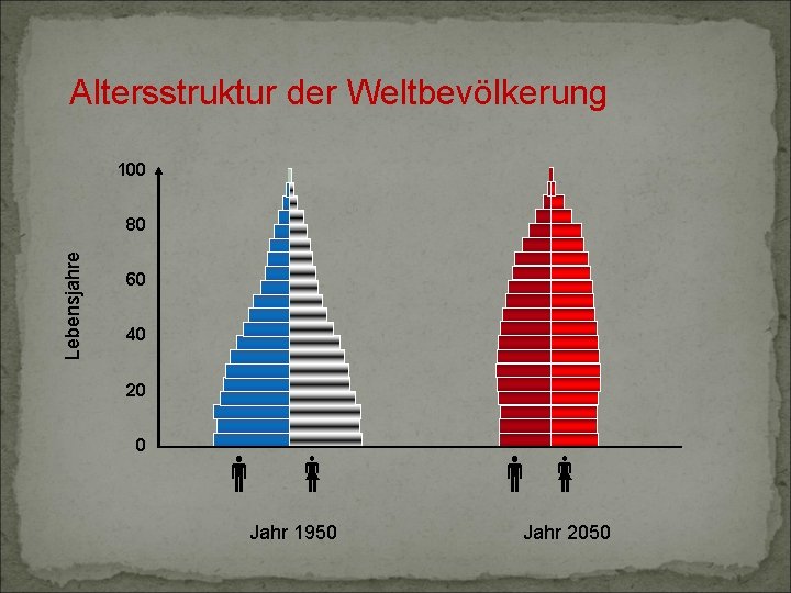 Altersstruktur der Weltbevölkerung 100 Lebensjahre 80 60 40 20 0 Jahr 1950 Jahr 2050