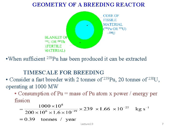GEOMETRY OF A BREEDING REACTOR • When sufficient 239 Pu has been produced it