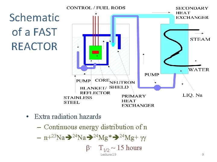 Schematic of a FAST REACTOR • Extra radiation hazards – Continuous energy distribution of