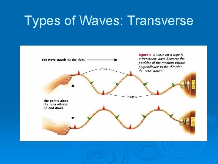 Types of Waves: Transverse 