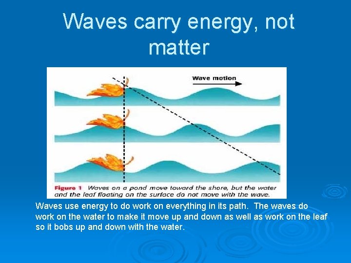 Waves carry energy, not matter Waves use energy to do work on everything in