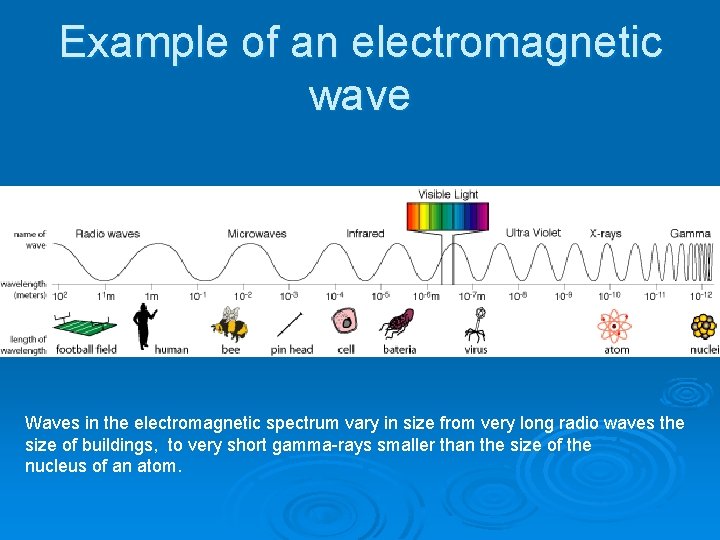 Example of an electromagnetic wave Waves in the electromagnetic spectrum vary in size from