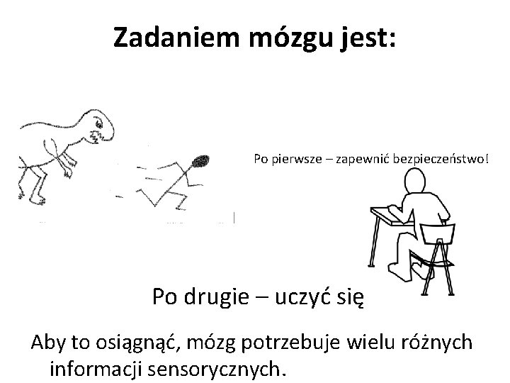 Zadaniem mózgu jest: Po pierwsze – zapewnić bezpieczeństwo! Po drugie – uczyć się Aby