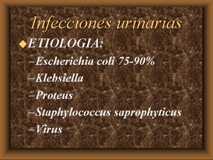 Infecciones urinarias u. ETIOLOGIA: – Escherichia coli 75 -90% – Klebsiella – Proteus –