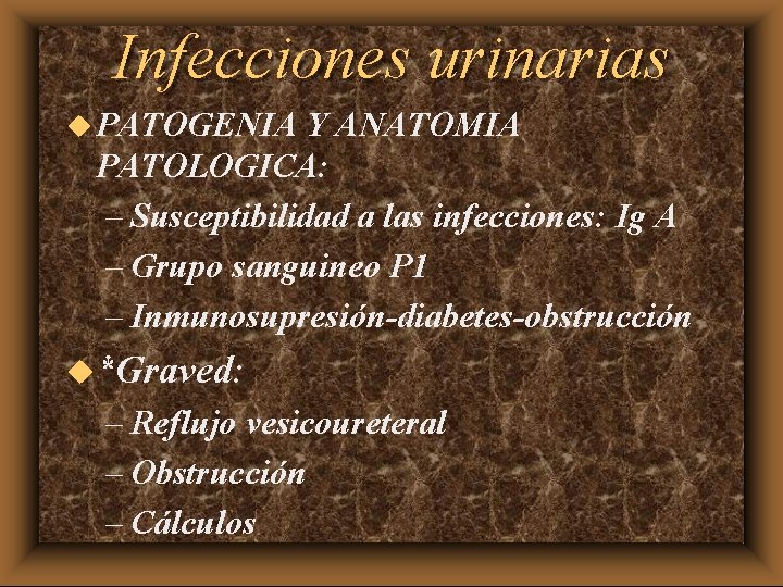 Infecciones urinarias u PATOGENIA Y ANATOMIA PATOLOGICA: – Susceptibilidad a las infecciones: Ig A