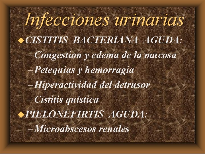 Infecciones urinarias u. CISTITIS BACTERIANA AGUDA: – Congestion y edema de la mucosa –