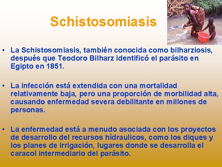 Schistosomiasis • La Schistosomiasis, también conocida como bilharziosis, después que Teodoro Bilharz identificó el