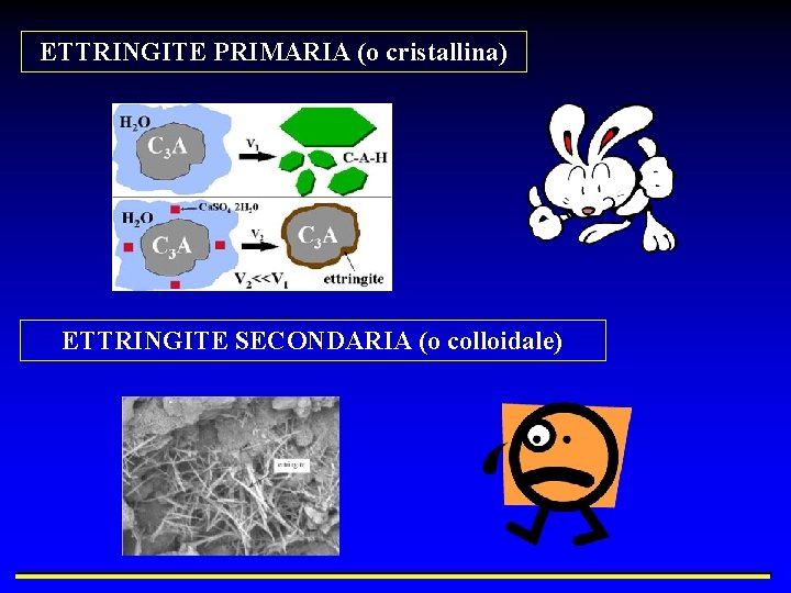 ETTRINGITE PRIMARIA (o cristallina) ETTRINGITE SECONDARIA (o colloidale) 