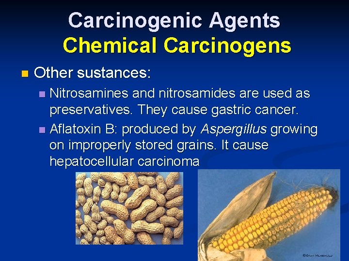 Carcinogenic Agents Chemical Carcinogens n Other sustances: Nitrosamines and nitrosamides are used as preservatives.