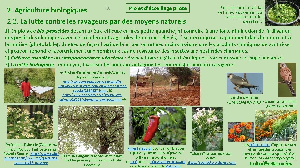 2. Agriculture biologiques 10 Projet d’écovillage pilote 2. 2. La lutte contre les ravageurs