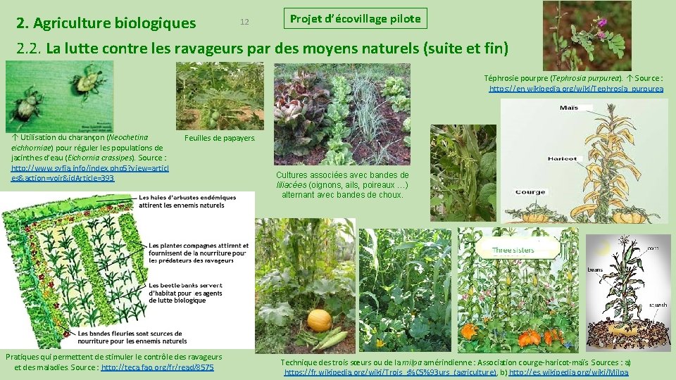 2. Agriculture biologiques 12 Projet d’écovillage pilote 2. 2. La lutte contre les ravageurs