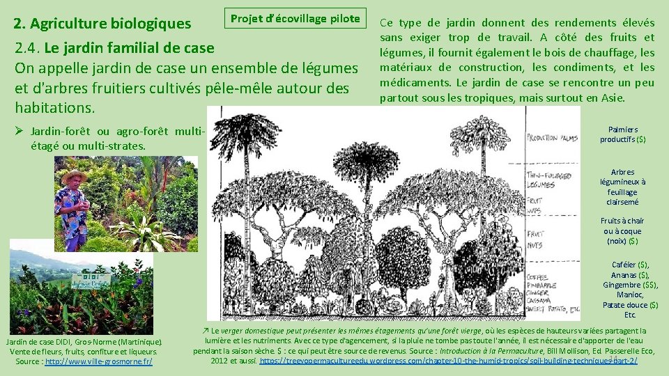 Projet d’écovillage pilote 2. Agriculture biologiques 2. 4. Le jardin familial de case On