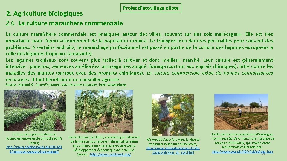 2. Agriculture biologiques 2. 6. La culture maraîchère commerciale Projet d’écovillage pilote La culture