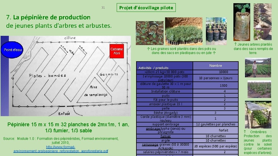 31 Projet d’écovillage pilote 7. La pépinière de production de jeunes plants d'arbres et