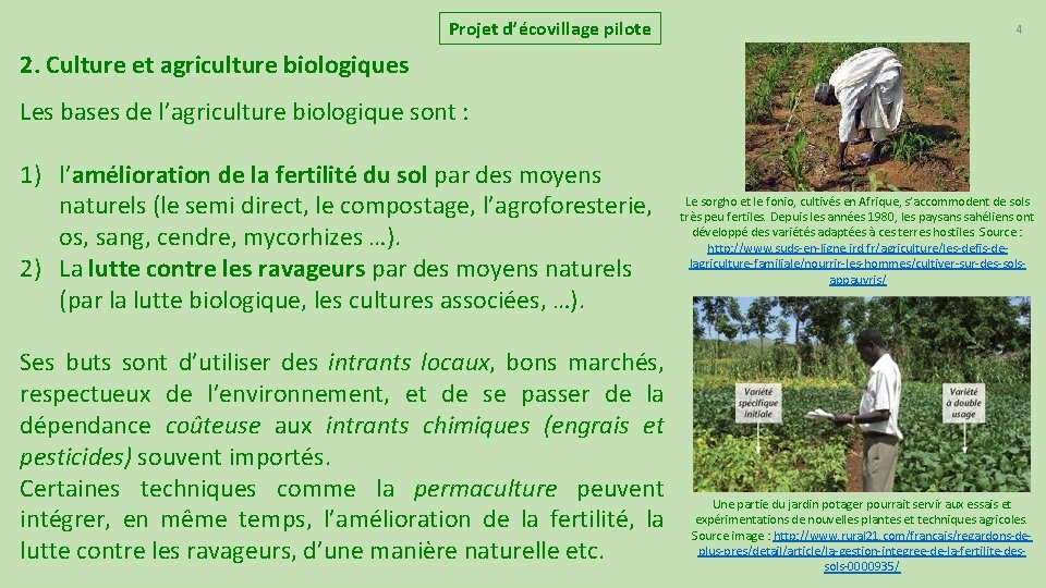 Projet d’écovillage pilote 4 2. Culture et agriculture biologiques Les bases de l’agriculture biologique