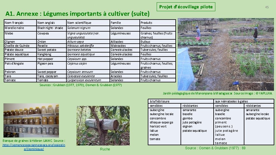 Projet d’écovillage pilote A 1. Annexe : Légumes importants à cultiver (suite) Nom français