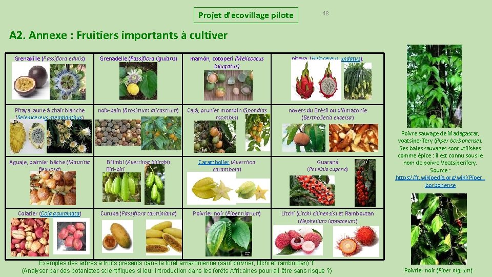 Projet d’écovillage pilote 48 A 2. Annexe : Fruitiers importants à cultiver Grenadille (Passiflora