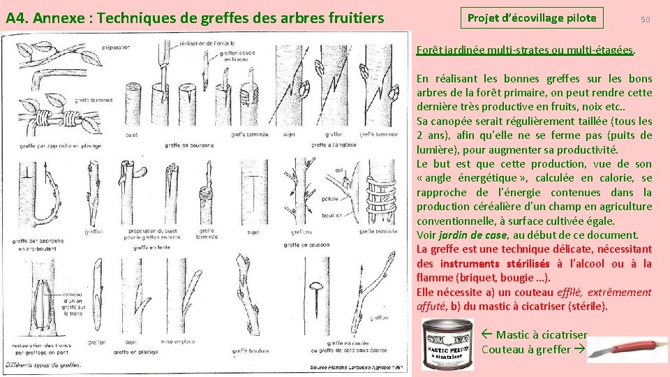 A 4. Annexe : Techniques de greffes des arbres fruitiers Projet d’écovillage pilote 50