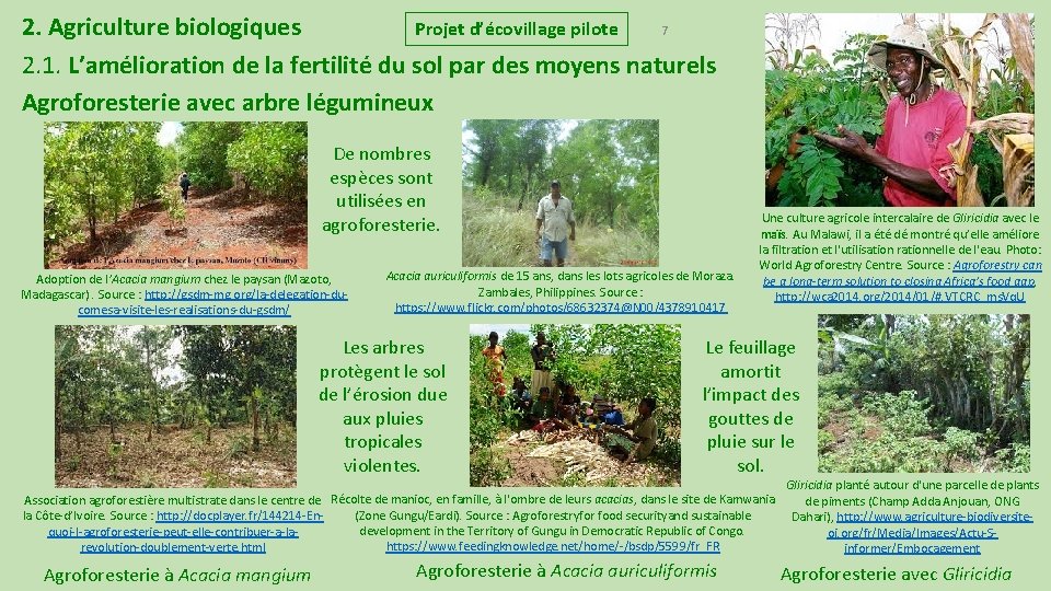 7 2. Agriculture biologiques Projet d’écovillage pilote 2. 1. L’amélioration de la fertilité du