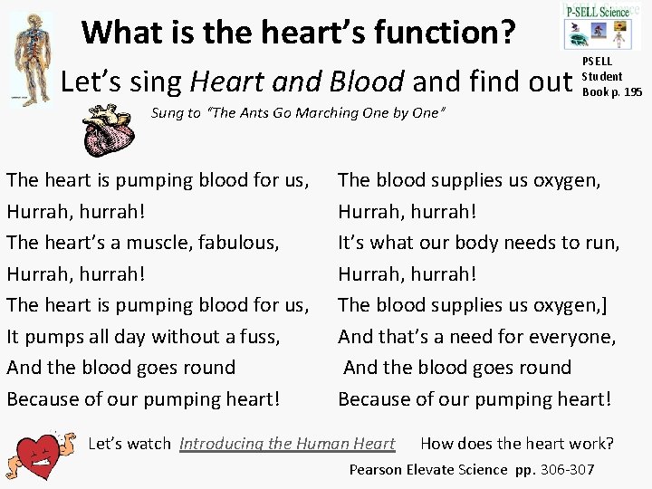 Human Body Organs and Functions Connections to Gr