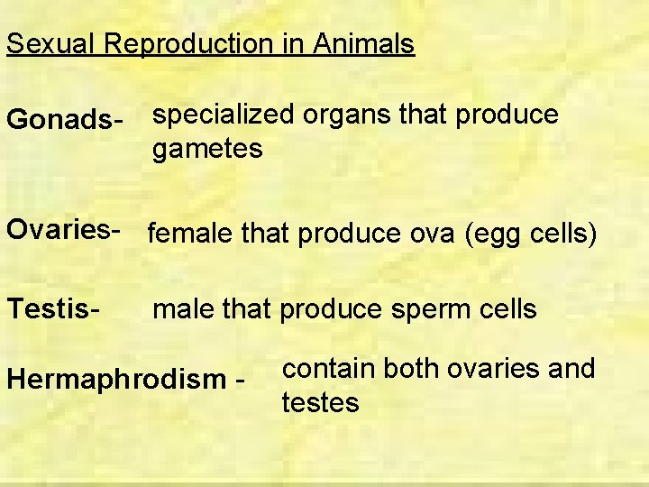 Sexual Reproduction in Animals Gonads- specialized organs that produce gametes Ovaries- female that produce