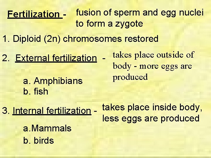 Fertilization - fusion of sperm and egg nuclei to form a zygote 1. Diploid