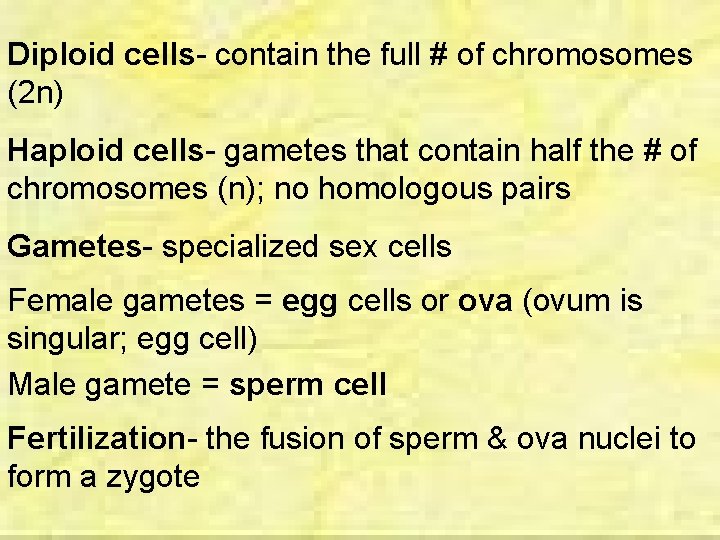 Diploid cells- contain the full # of chromosomes (2 n) Haploid cells- gametes that