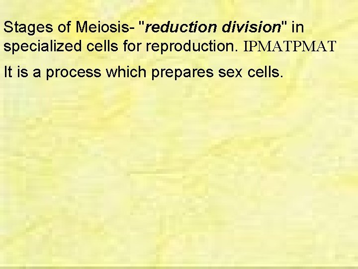 Stages of Meiosis- "reduction division" in specialized cells for reproduction. IPMAT It is a