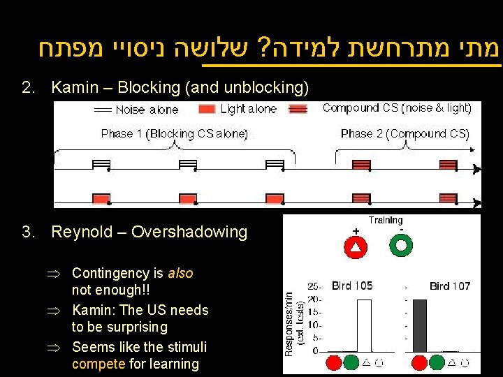  מתי מתרחשת למידה? שלושה ניסויי מפתח 2. Kamin – Blocking (and unblocking) 3.